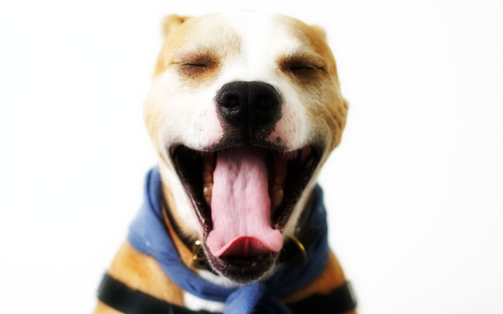 寝入りが悪くなっている原因を考えて即実行に移してみる 眠たい