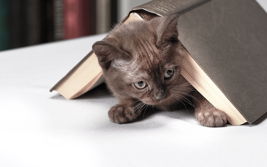 プログラミング 入門書