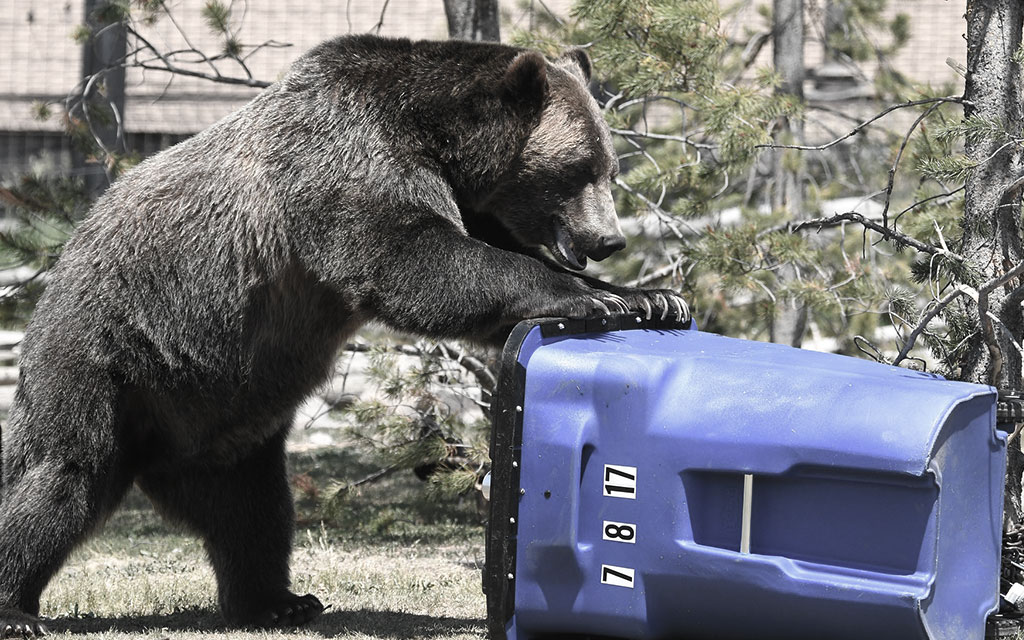 プライド 捨てる