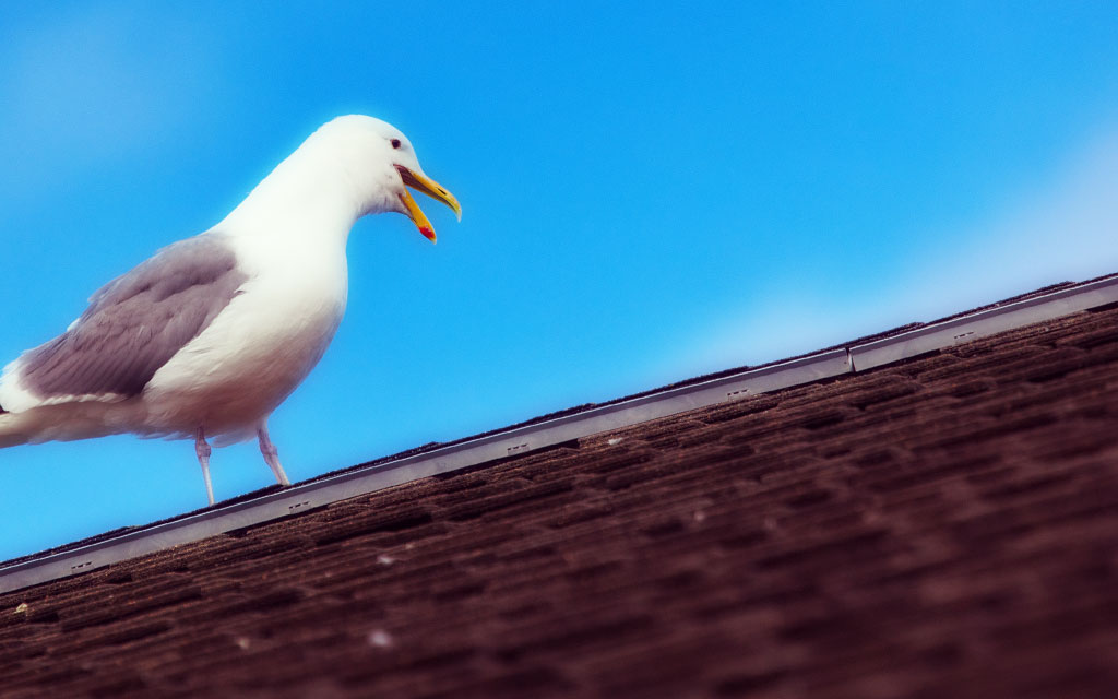 プログラミング 中級者 道のり