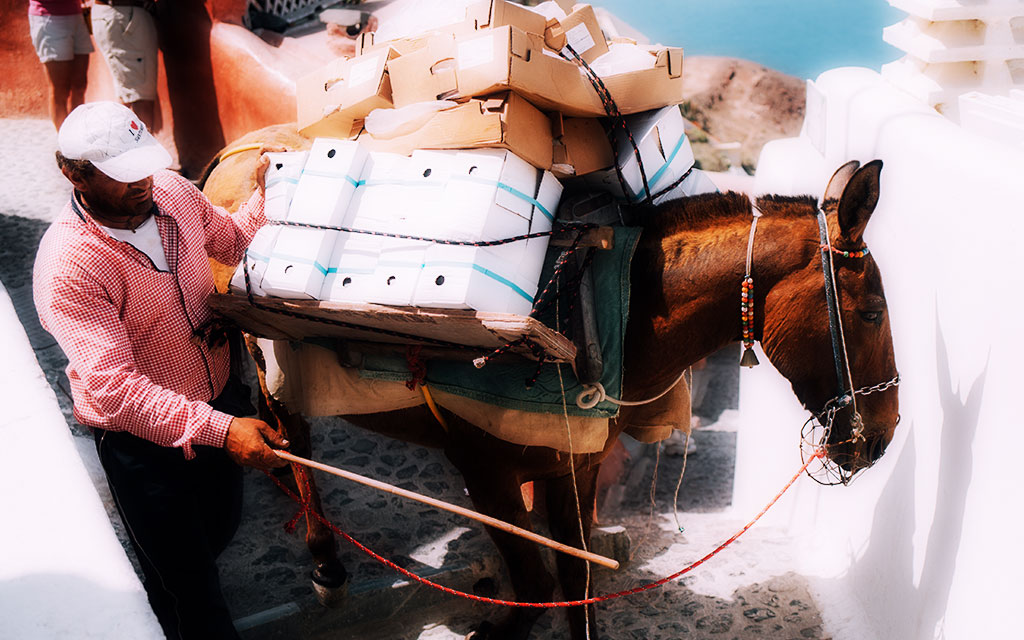 Wordpress プラグイン禁止