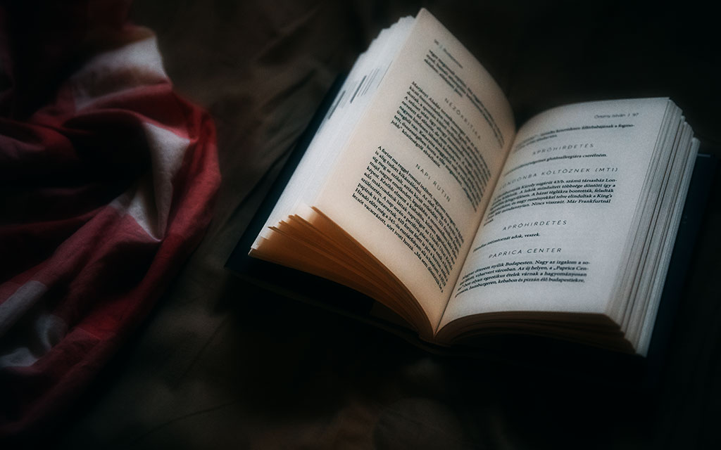 後ろから本を読む