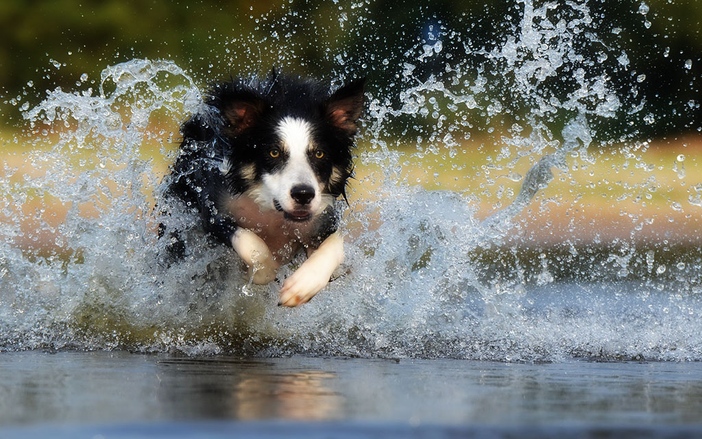 強くてニューゲーム