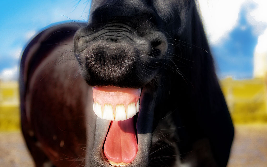 プチコン GOTO ダサい